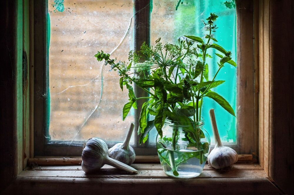 Photo 1457782