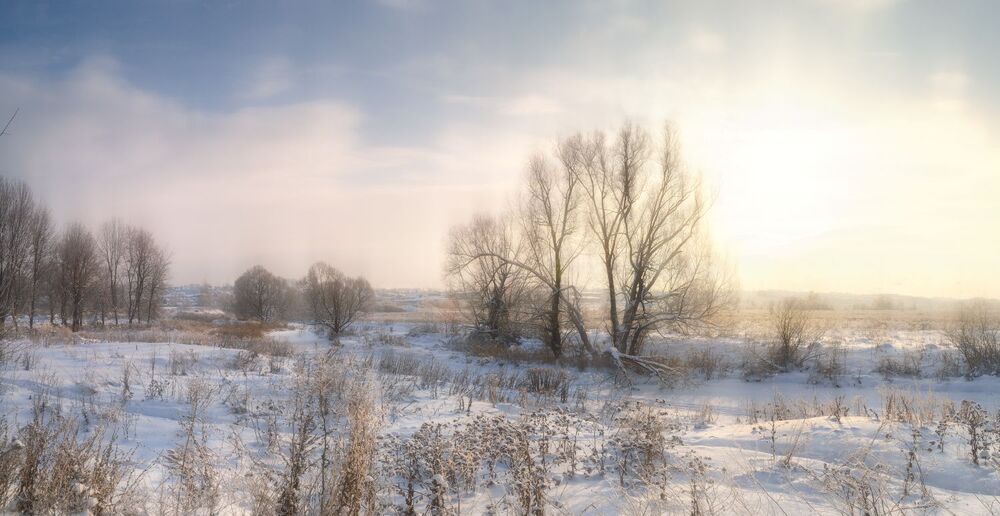 Тульская зима. Этюды