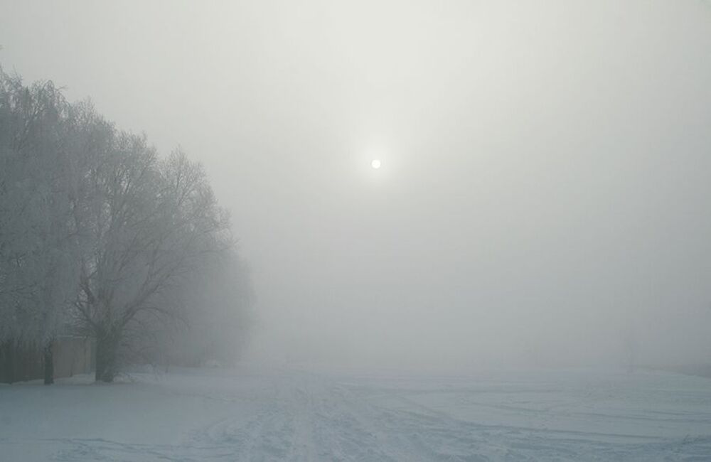 молоко зимы***