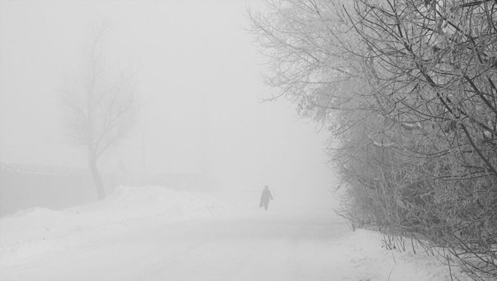 молоко зимы***