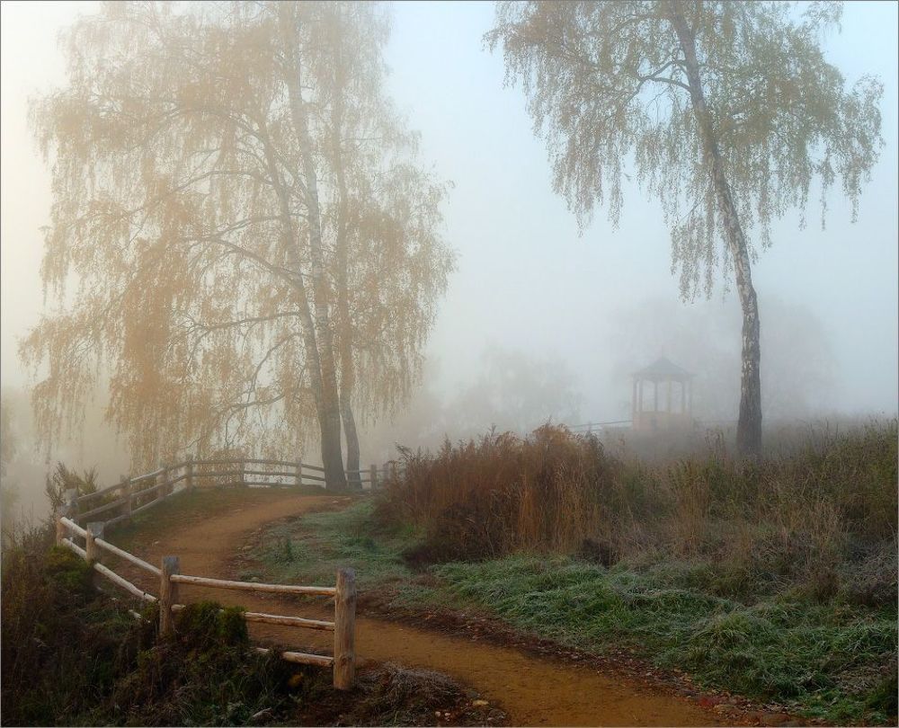 По дороге...
г. Плёс, Соборная гора, октябрь
