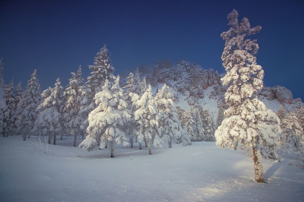 Откликной гребень