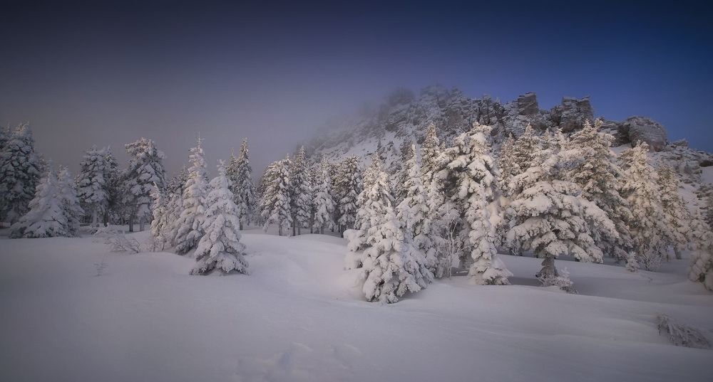 Откликной гребень