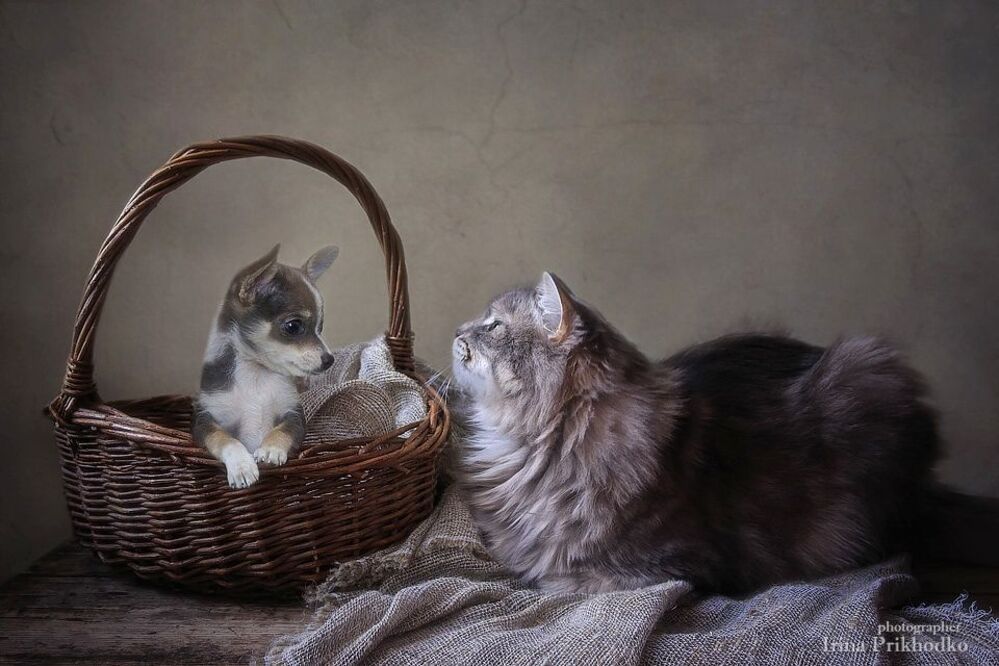 - А ты будешь со мной играть?
- Ну-у-у, не знаю, надо подумать!