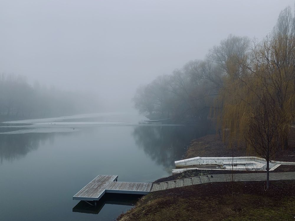 Foggy morning