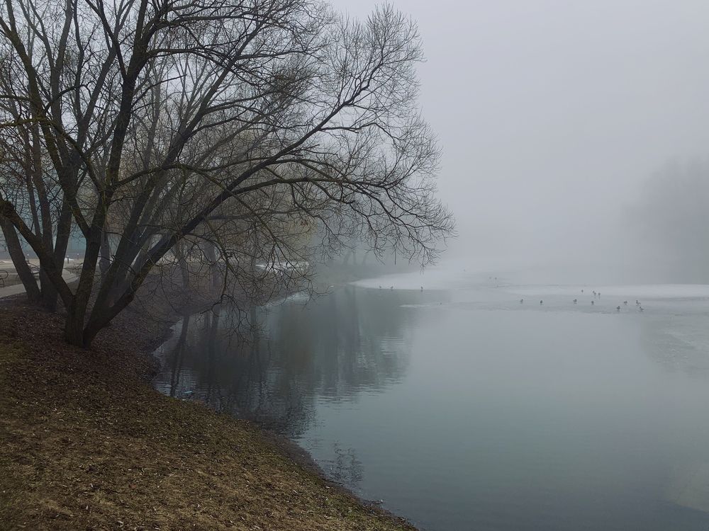 Foggy morning