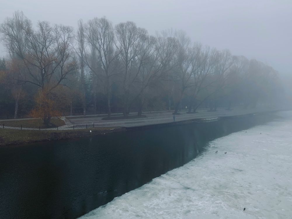 Foggy morning