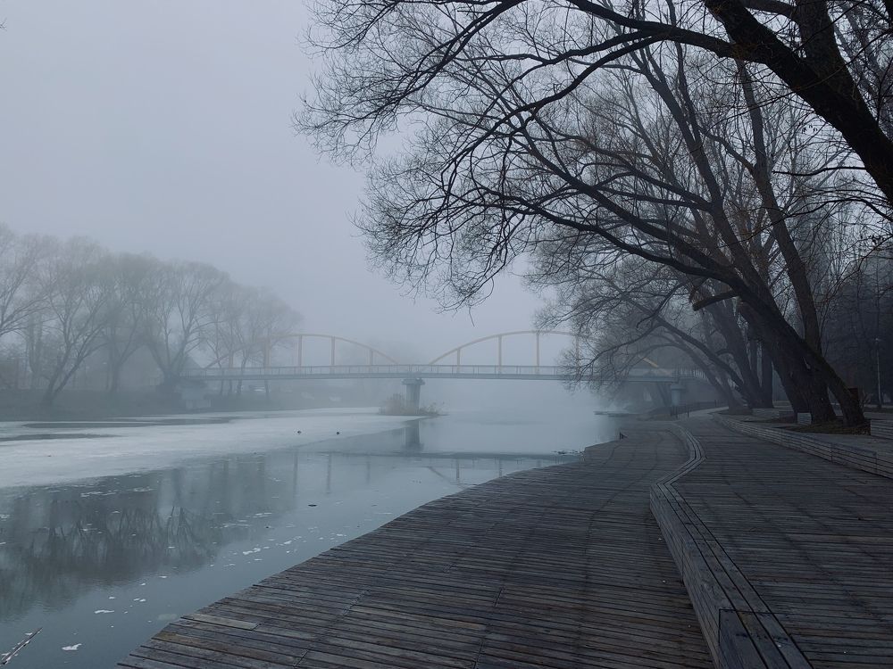 Foggy morning