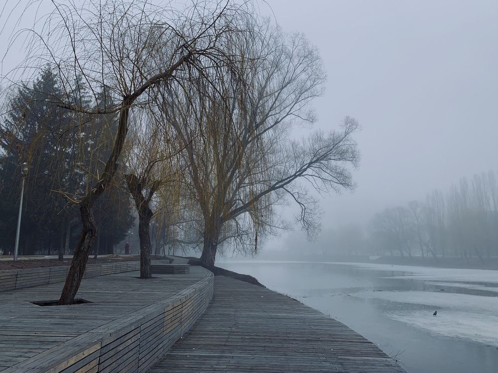 Foggy morning