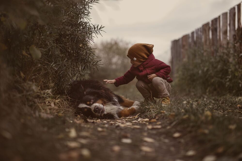 The story of friendship...