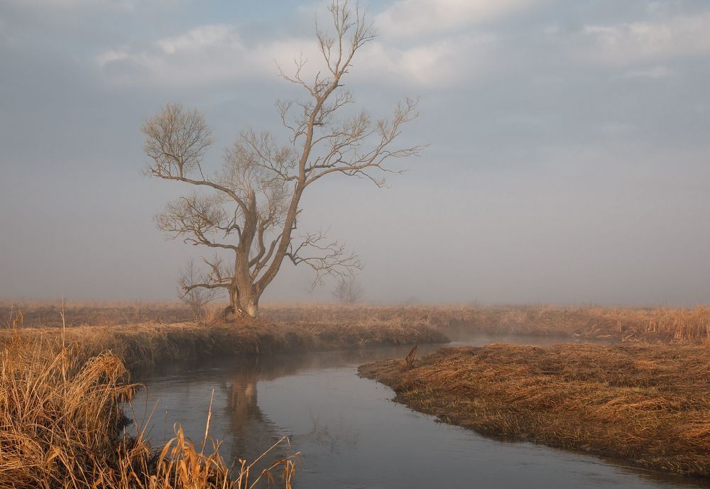 Photo 1463864