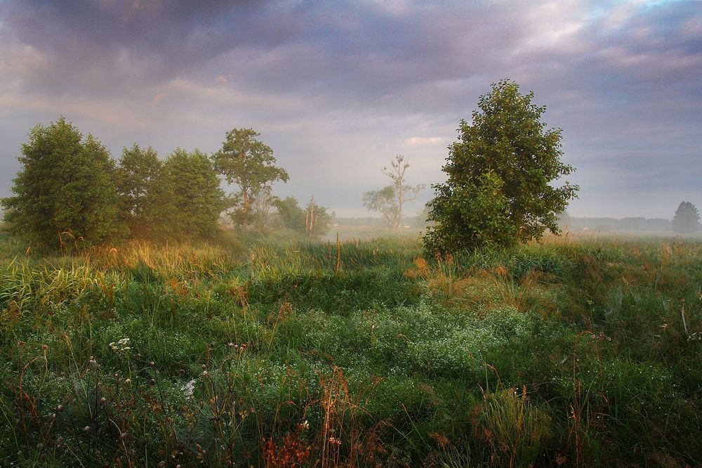 Photo 1463869