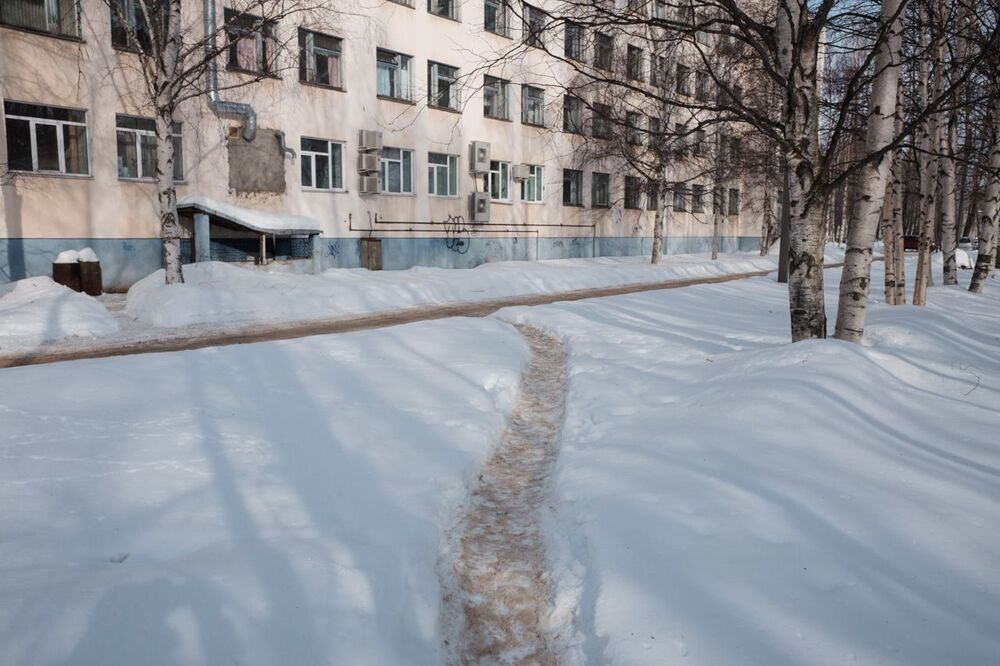 Мартовский пёс