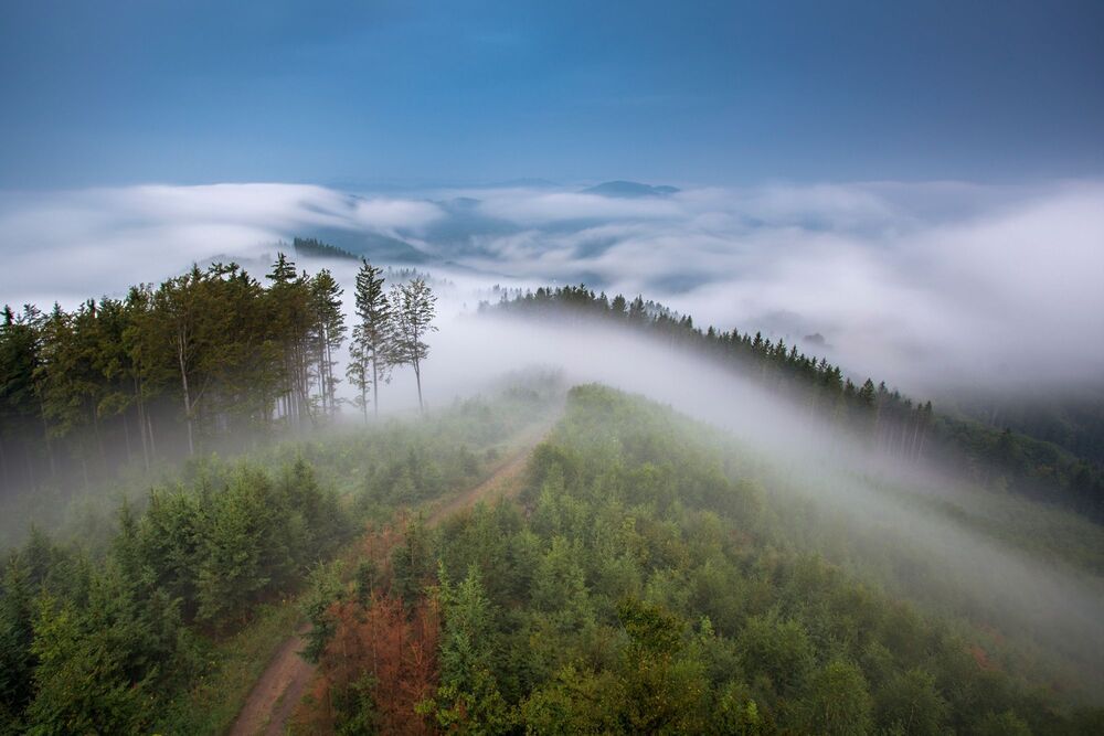 Slovakia landscape