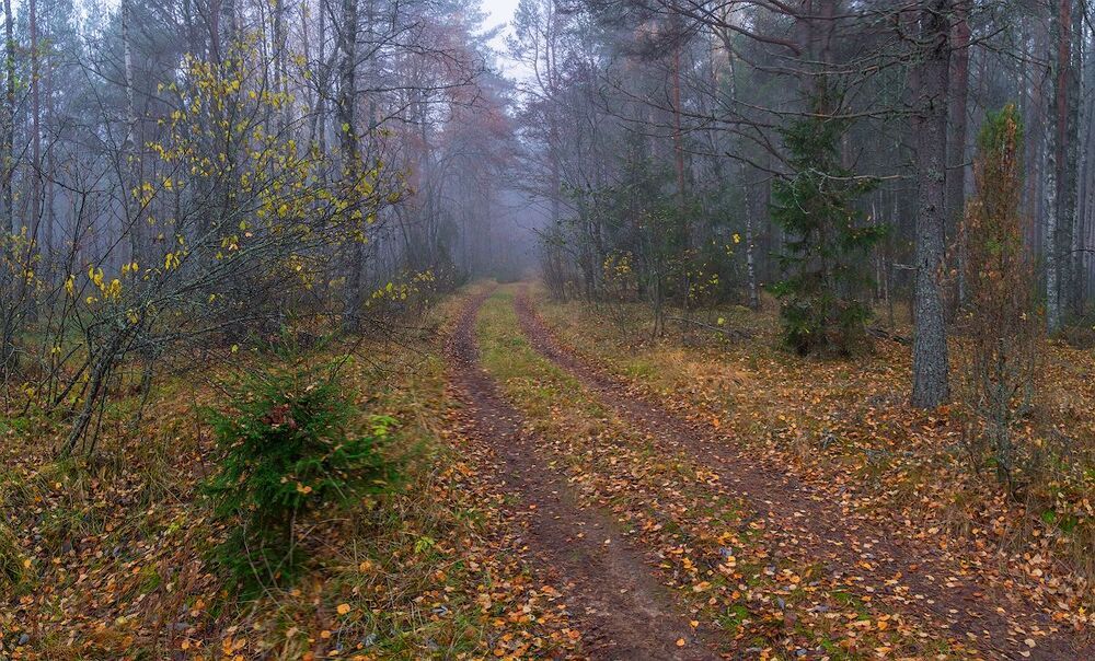в тумане осеннем...)