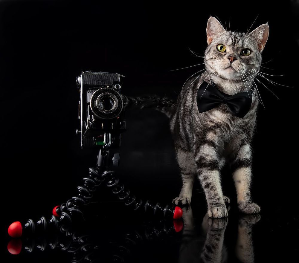 Маркиз - Фотограф