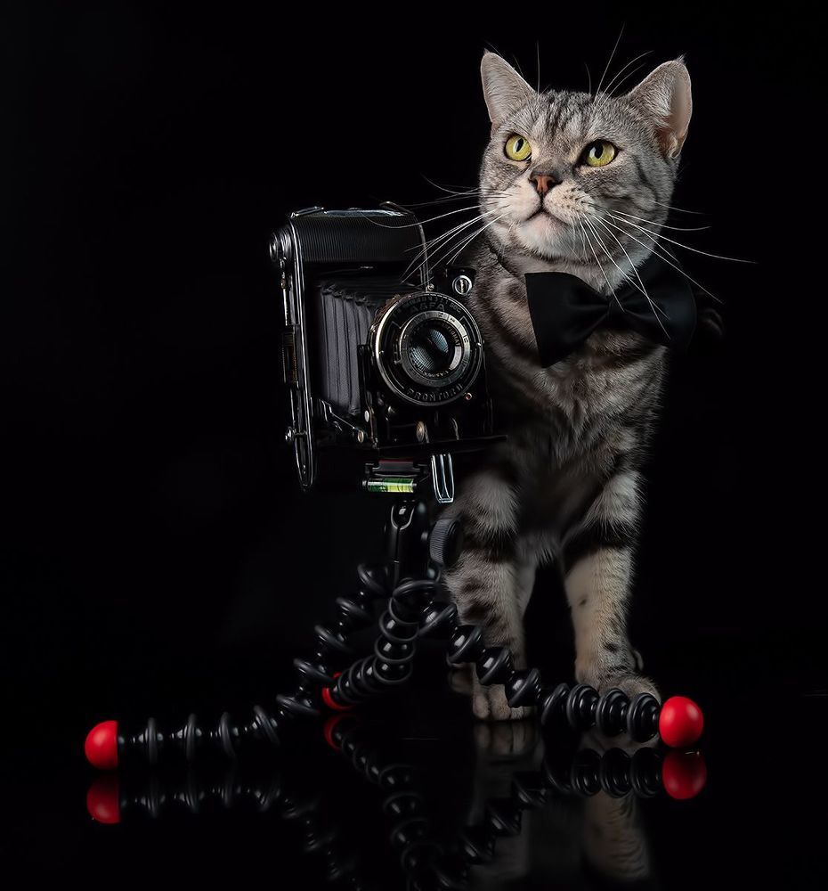Маркиз - Фотограф