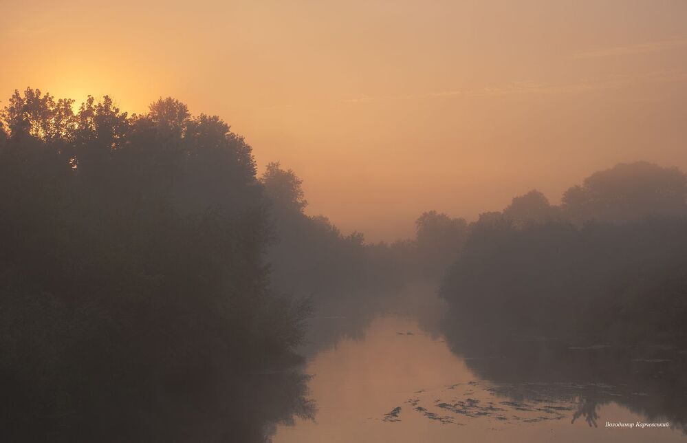 Photo 1465559