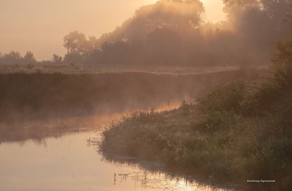 Photo 1465560