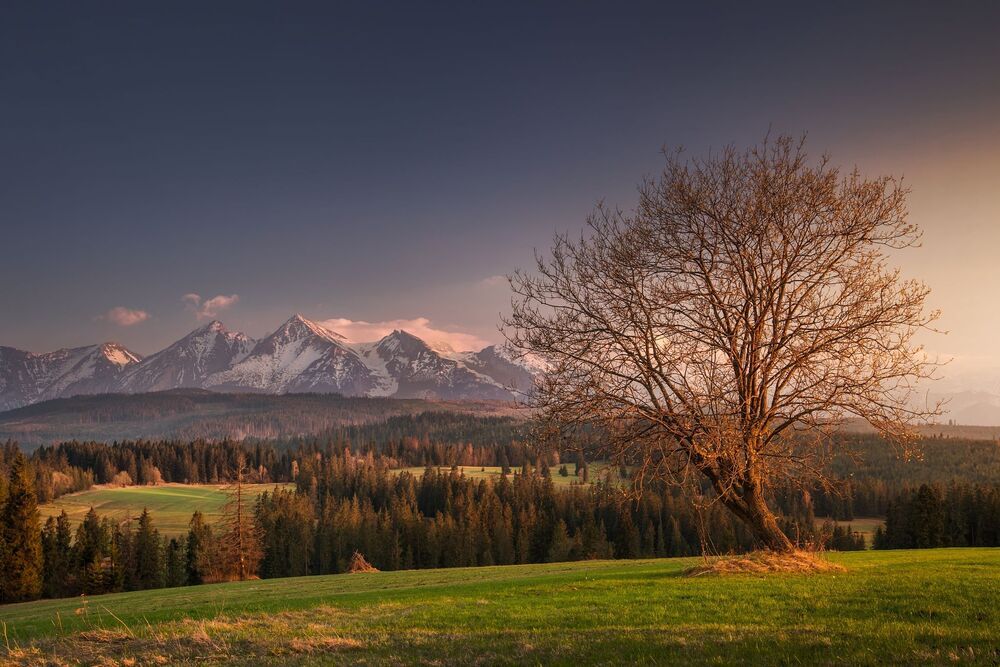 moutain
