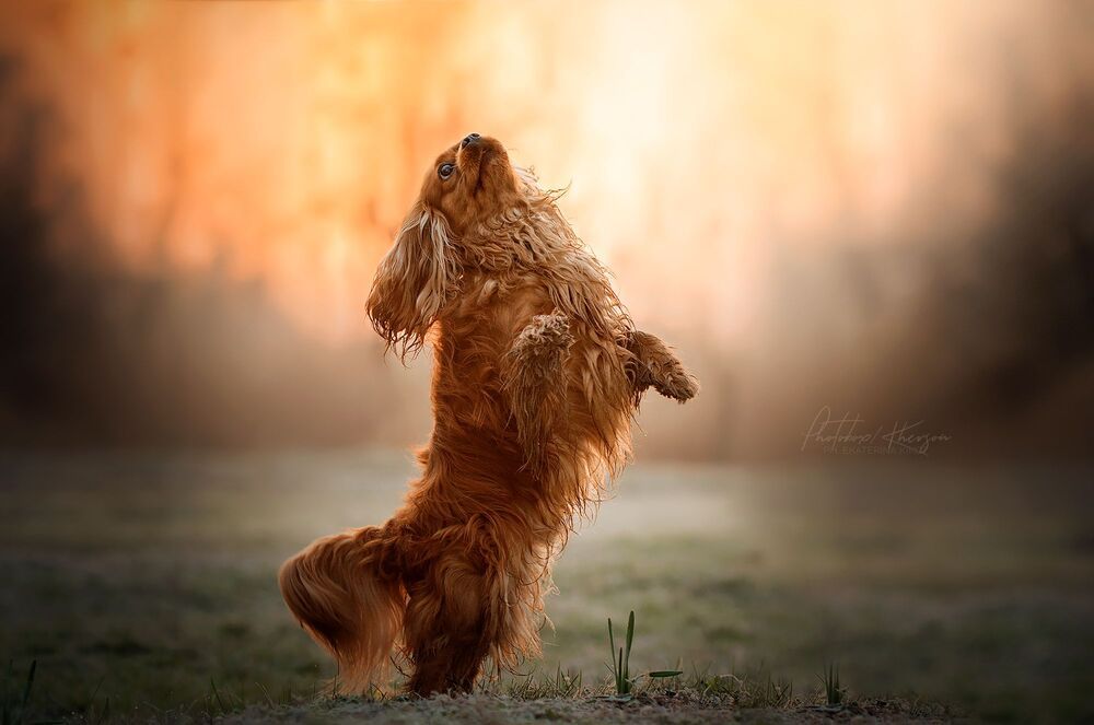 Джон