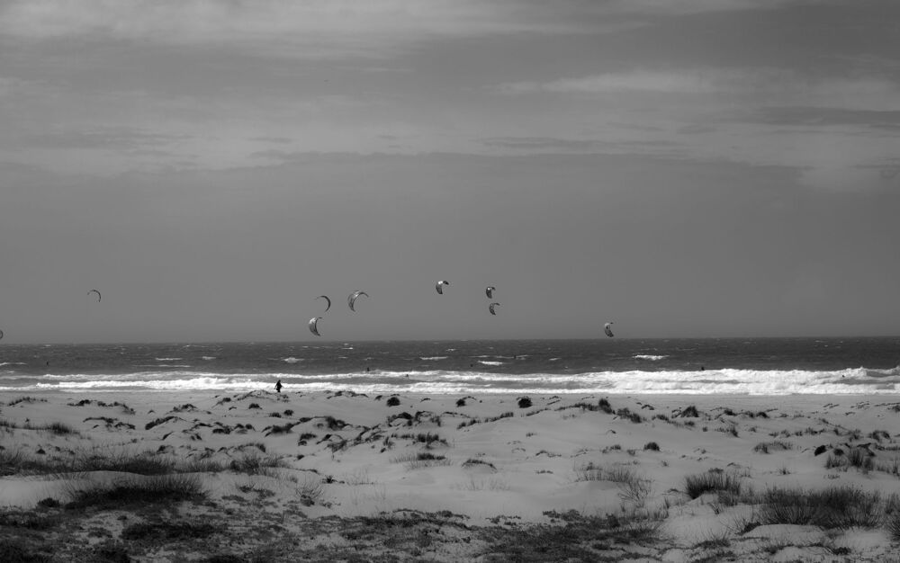 Photo 1467447