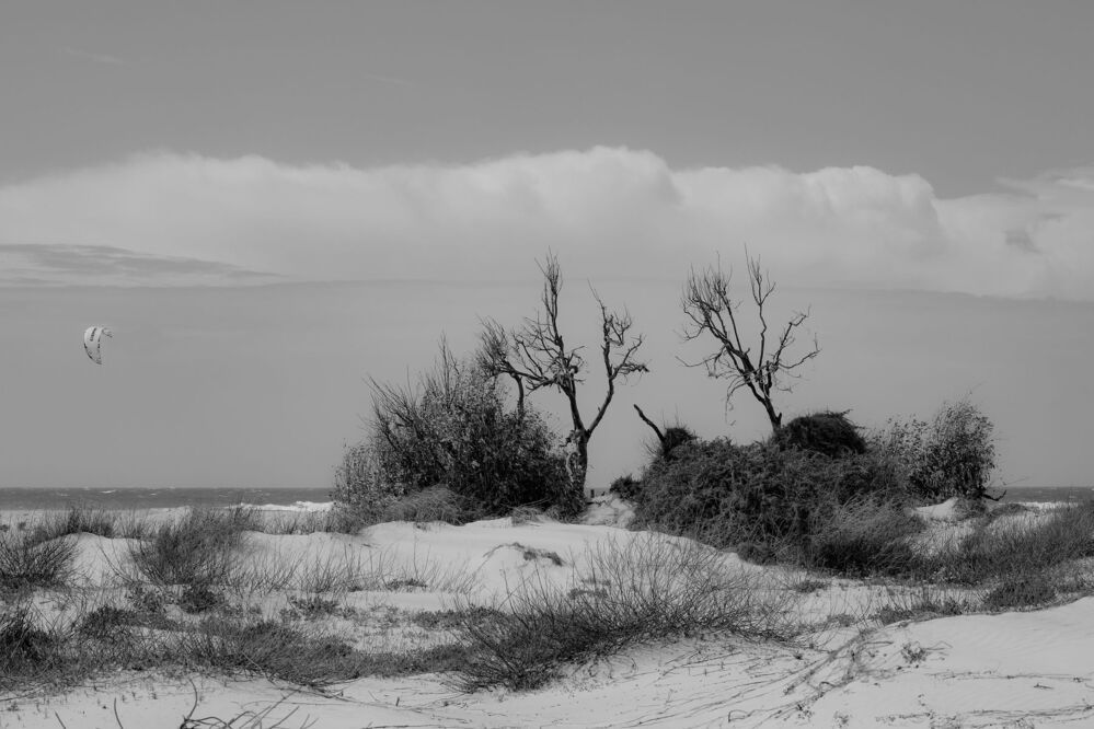 Photo 1467448