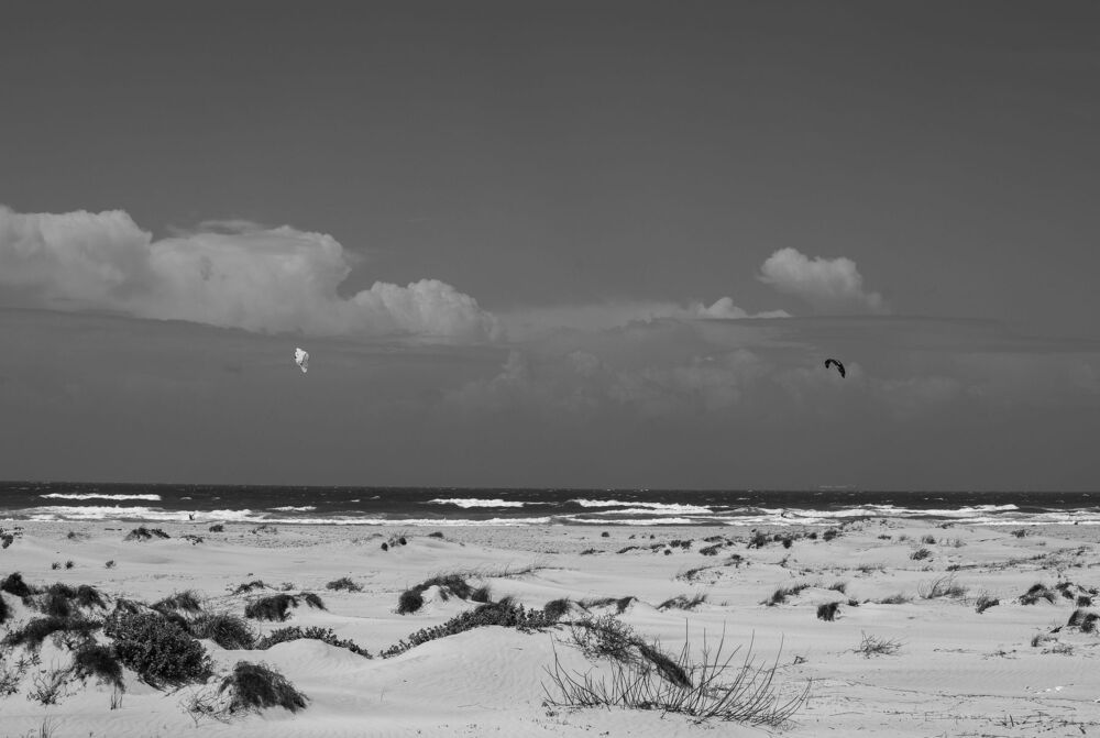 Photo 1467449