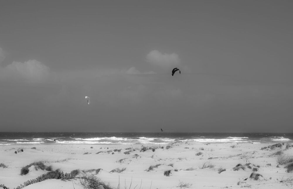 Photo 1467450
