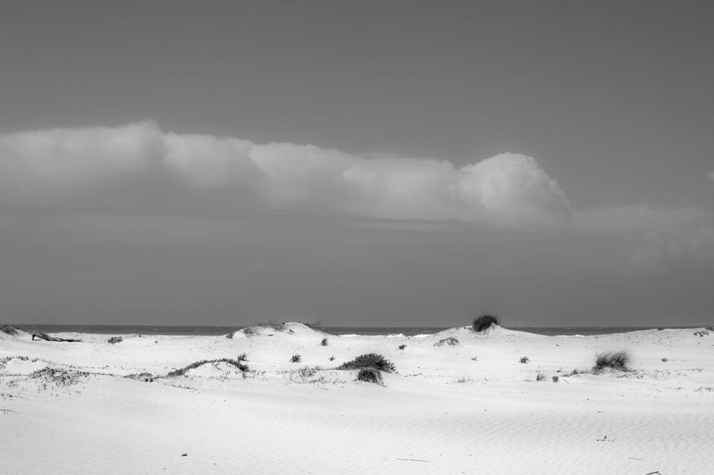 Photo 1467451