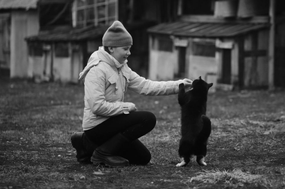 Кот