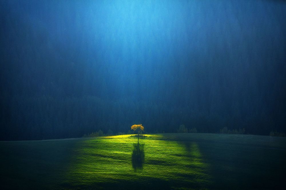 Fiat Lux Slovakia