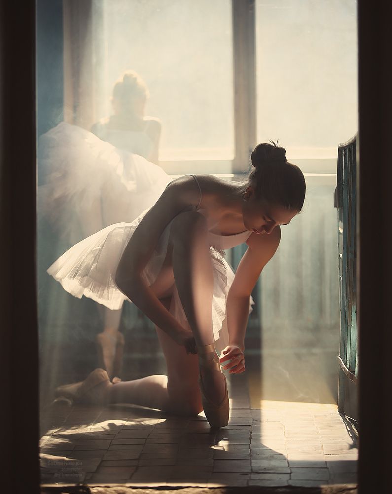 Photo 1468675