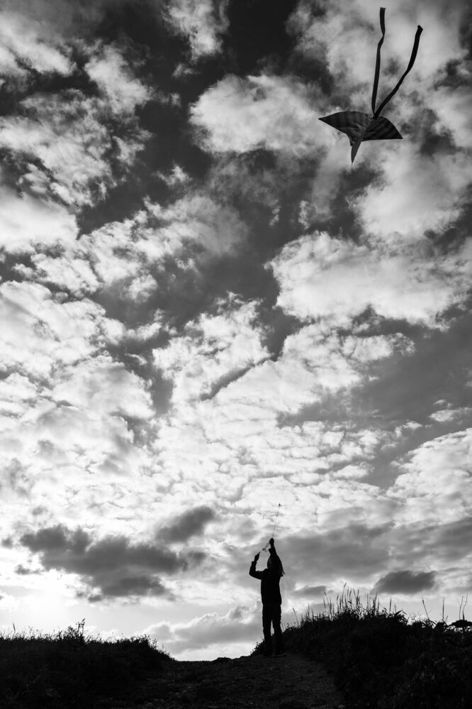 Photo 1468696