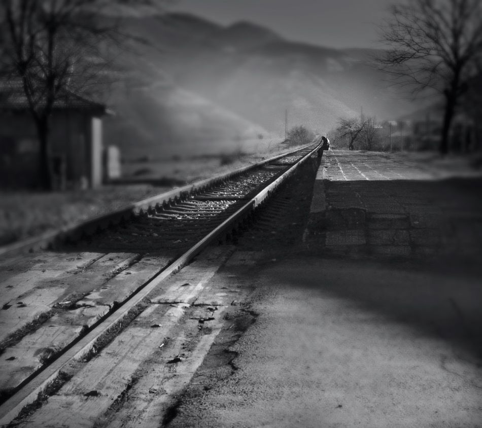 Photo 1468715
