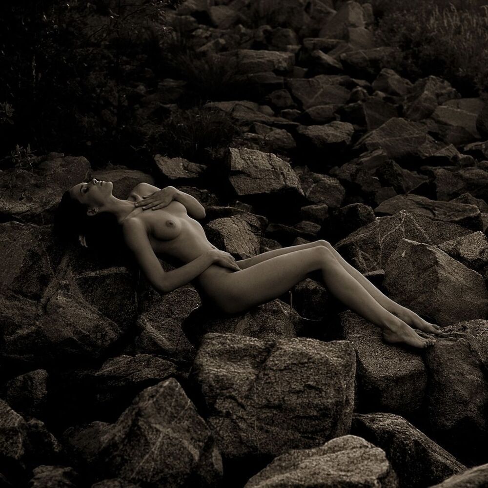 Photo 1469212