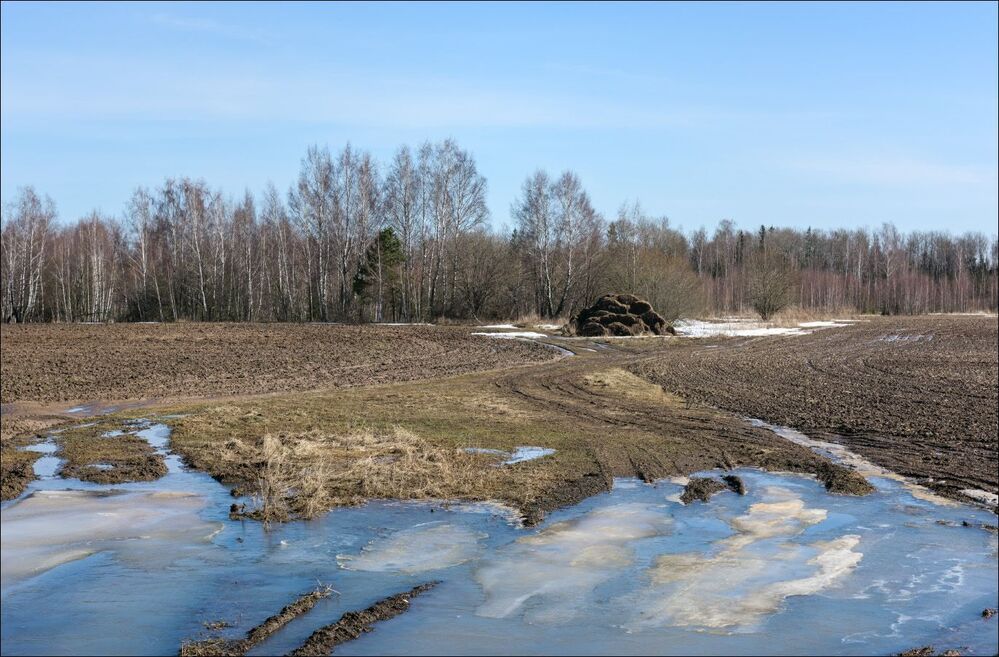 Начало обычного весеннего дня