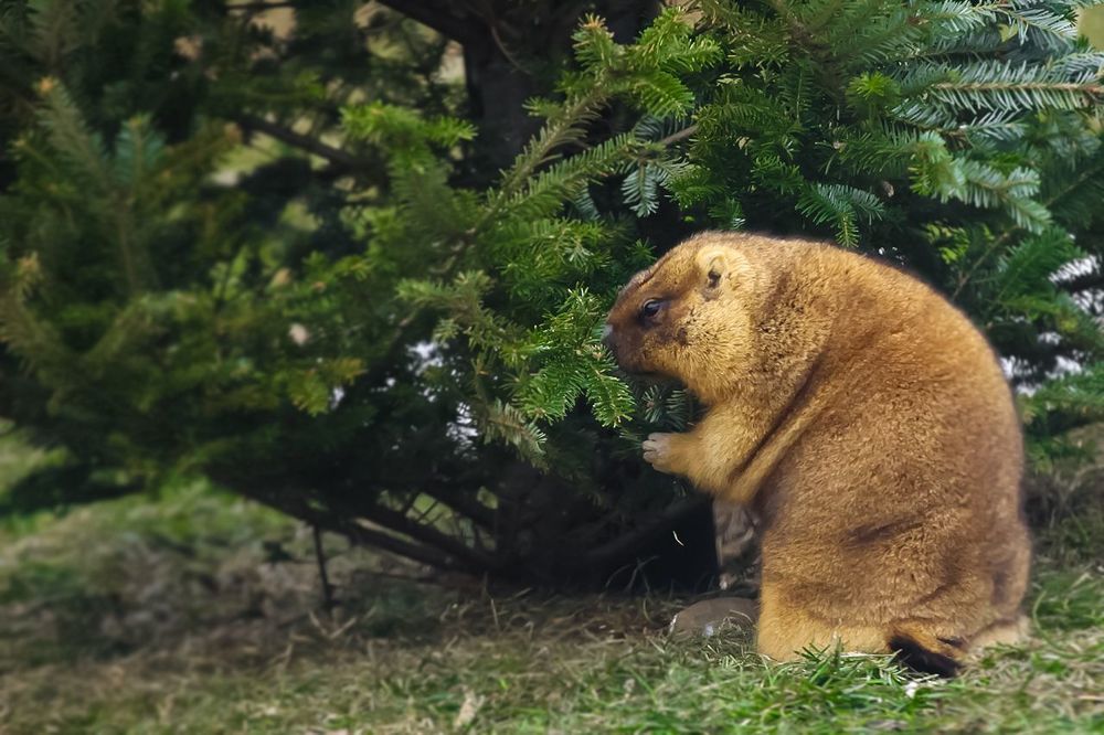 Весна пришла!