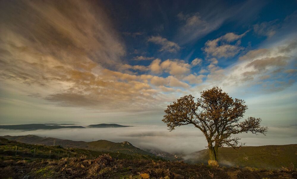 between sun and cloud