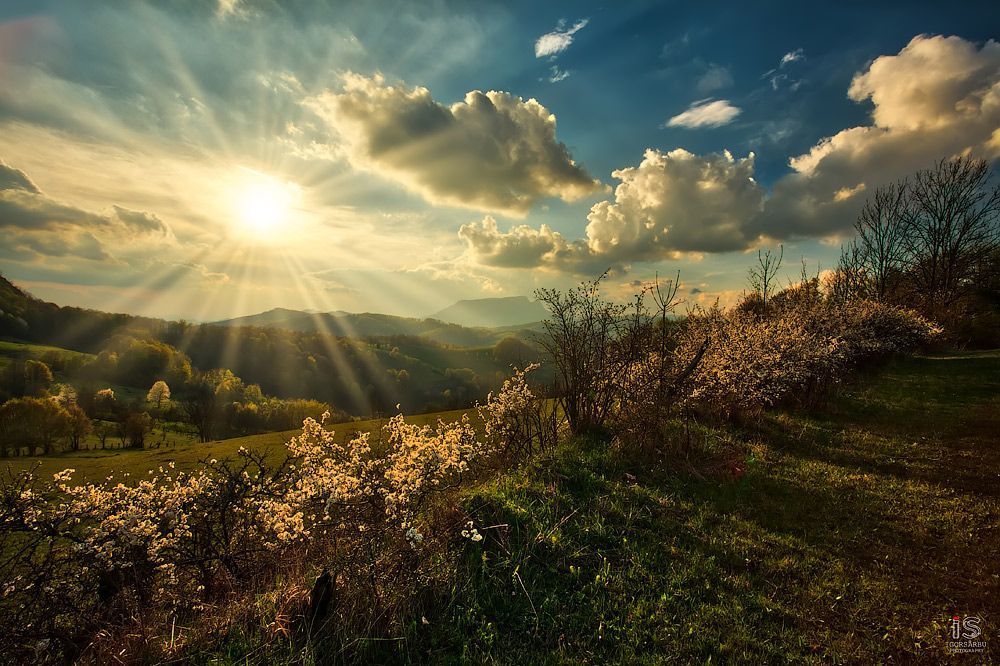 Magestic mountain sunset