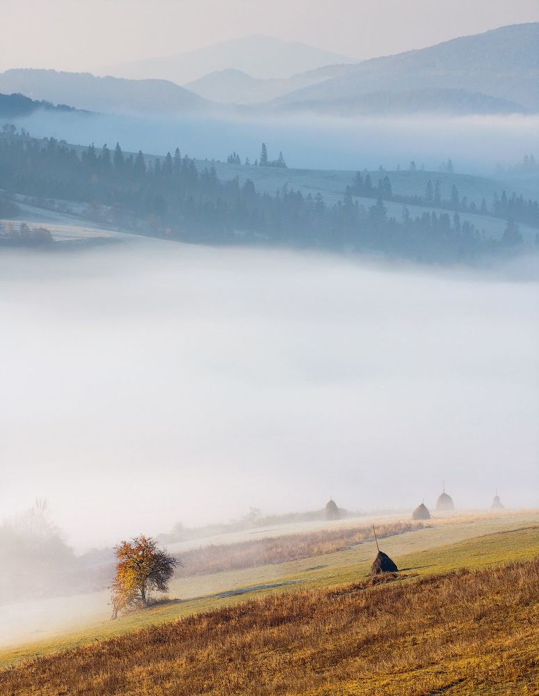 Пейзаж