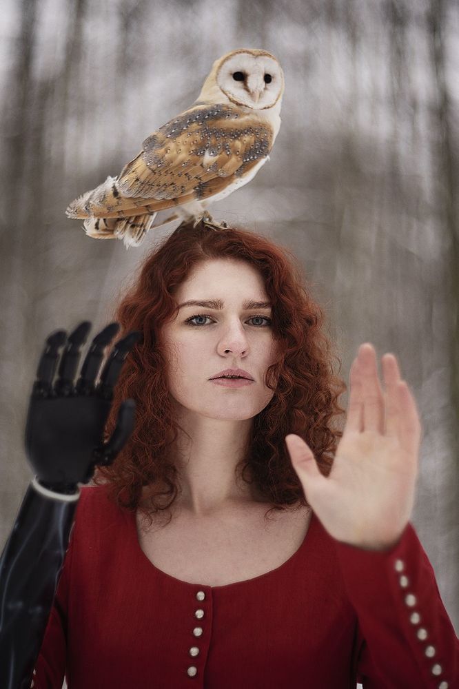 Bird set Free