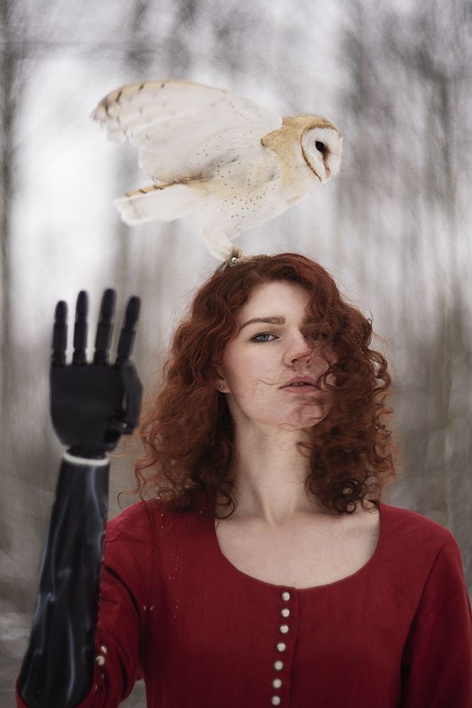 Bird set Free