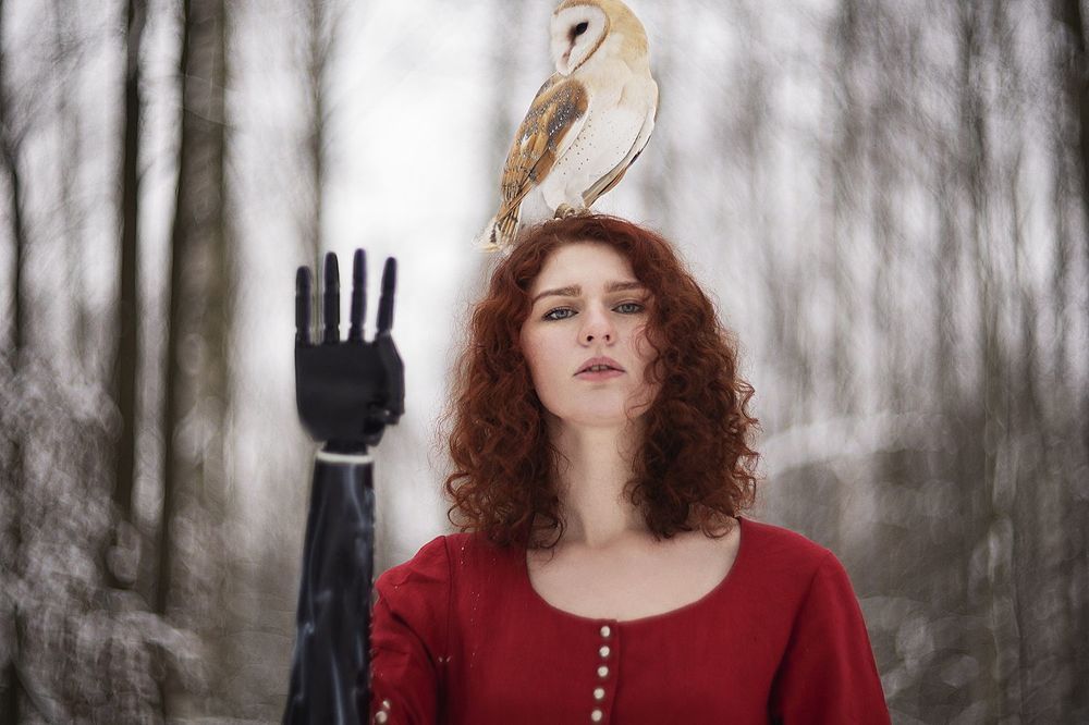 Bird set Free