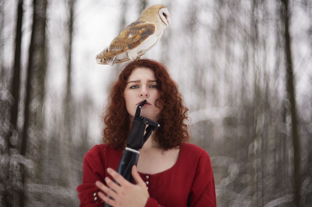 Bird set Free