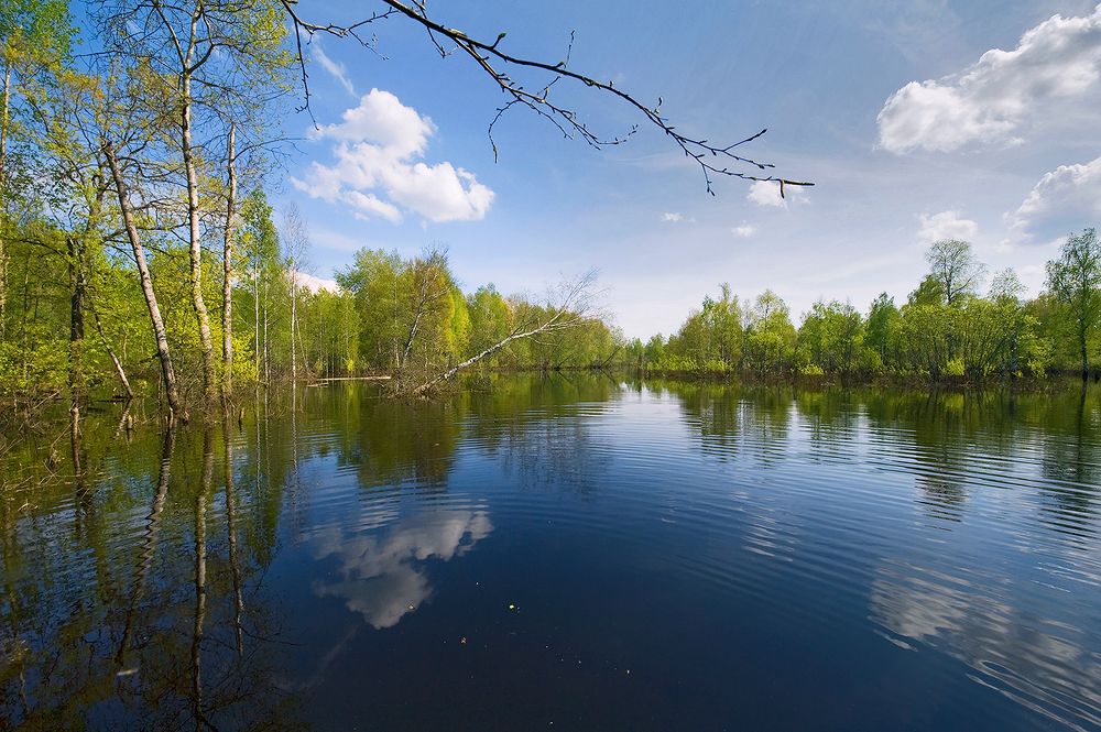 03 Большая вода. В мае 2012 половодье было выдающимся во всех отношениях. К моменту съёмки уровень воды уменьшился уже на пол-метра. Максимальный уровень хорошо виден по границе зелени на кустарниках...