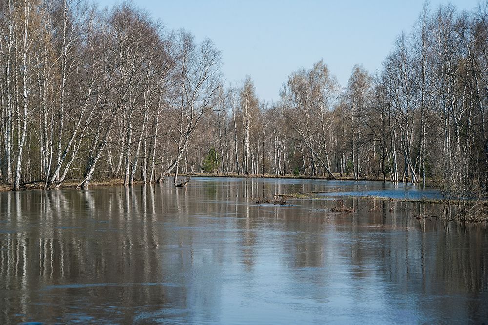 04 Половодье в апреле 2018 было гораздо более скромным