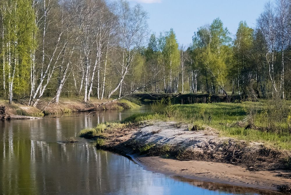 05 Первая зелень покрывает кроны деревьев и лужайки. Май 2016