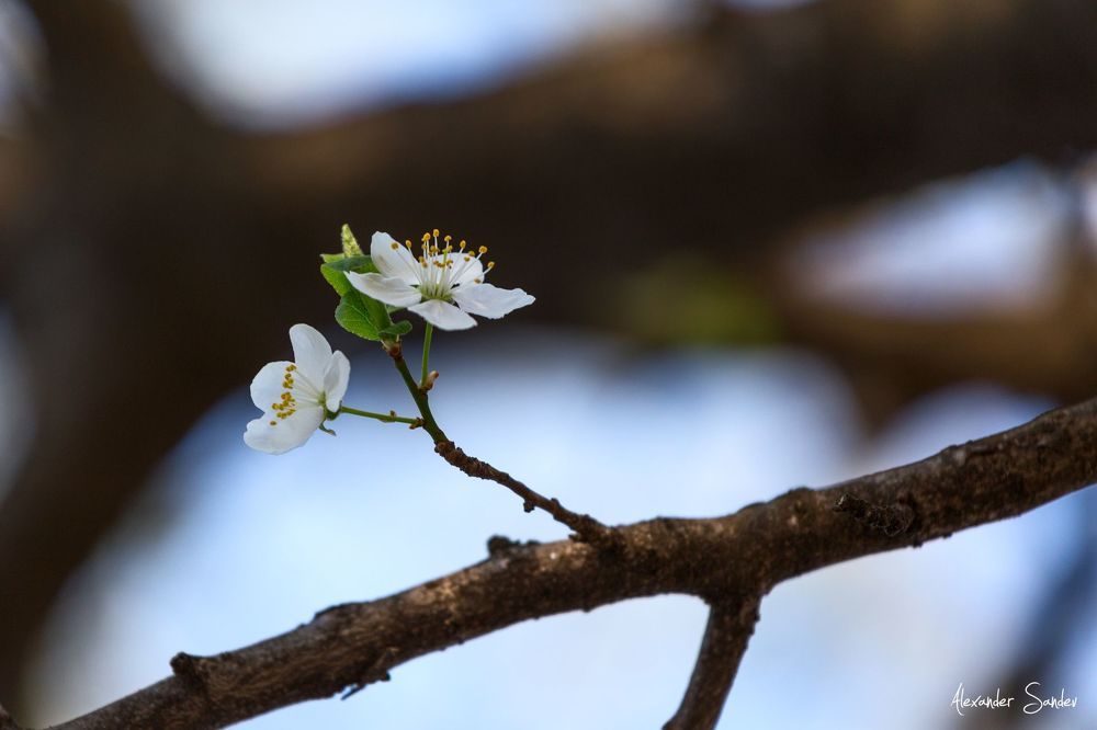 Photo 1473942