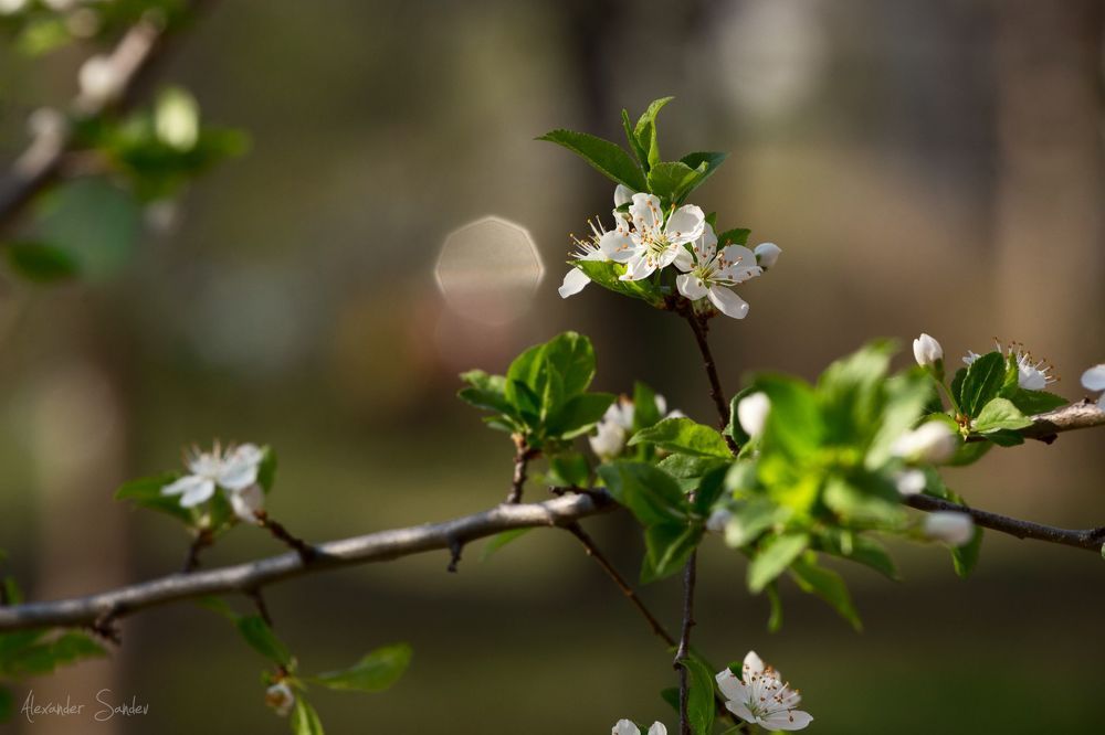 Photo 1473943